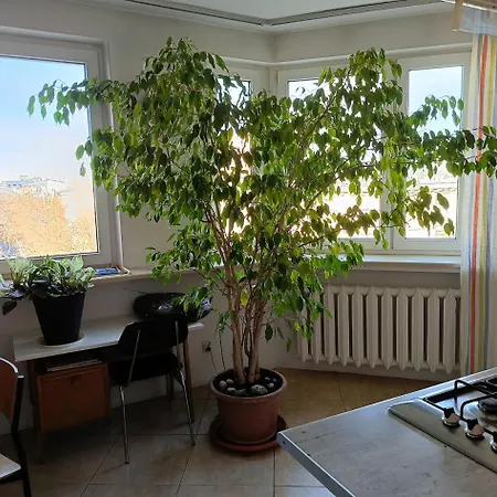 Apartment W Nowym Centrum Lodzi, Parking Lodz